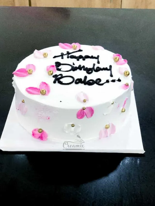 OVO Cake Single Layer